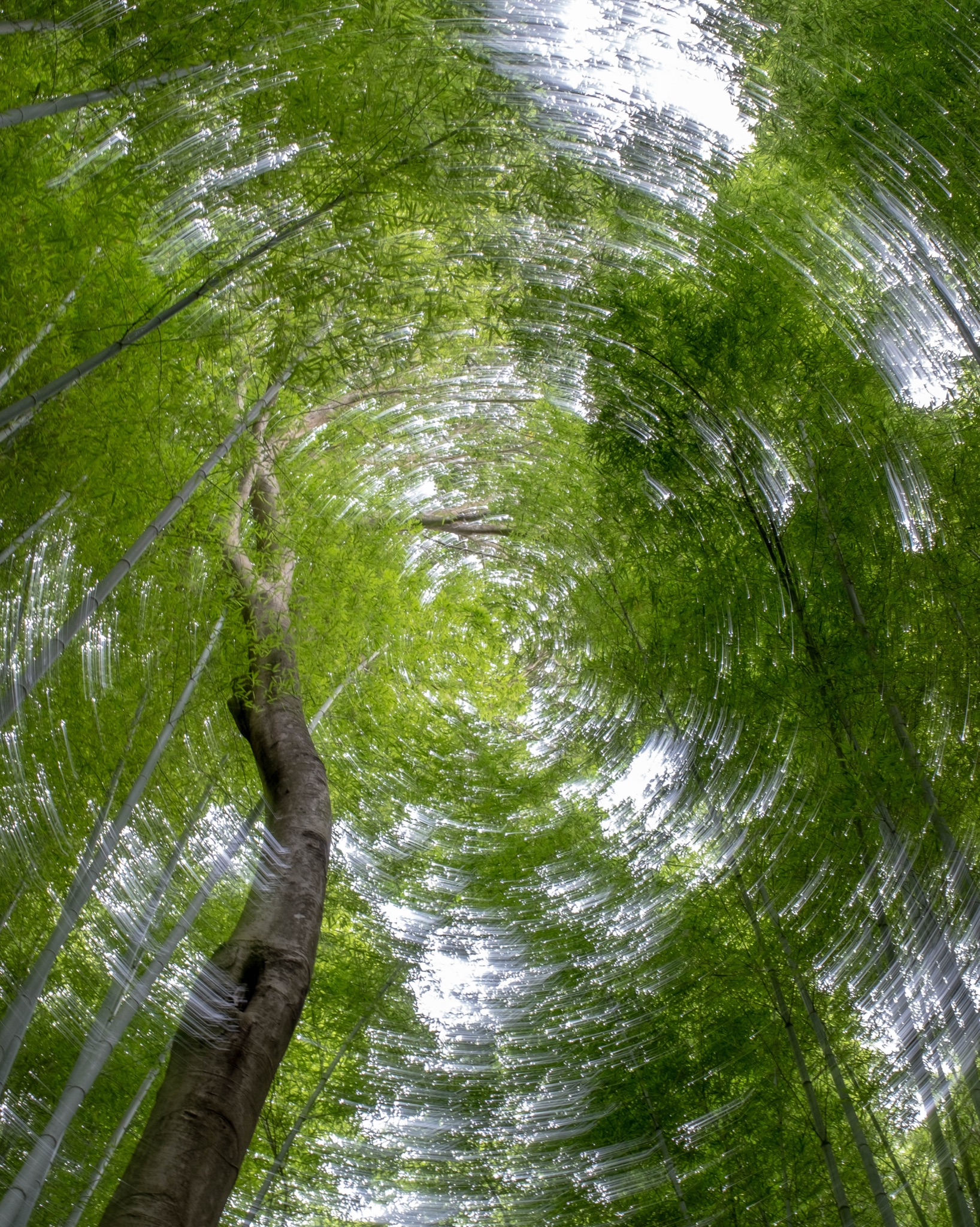 Nature photograph by Andrea Rubbi — 15 Jul 2026